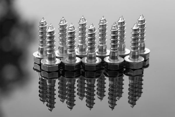 Vis longueur en inox
